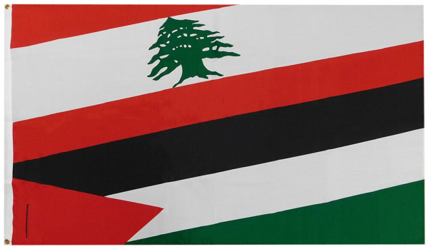 THE LEBANESE PEACE AND SOLIDARITY COMMITTEE HELD ITS GENERAL ASSEMBLY