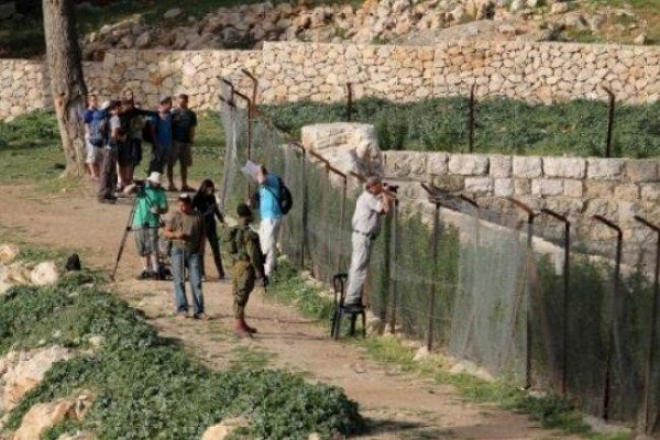 مستوطنون يحرقون أراضي زراعية جنوب نابلس